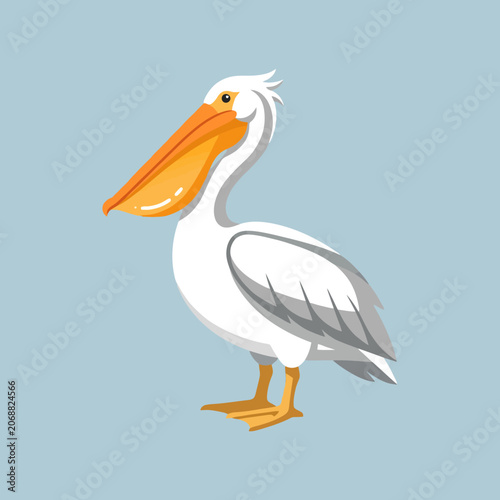 A white pelican bird stands against a blue background