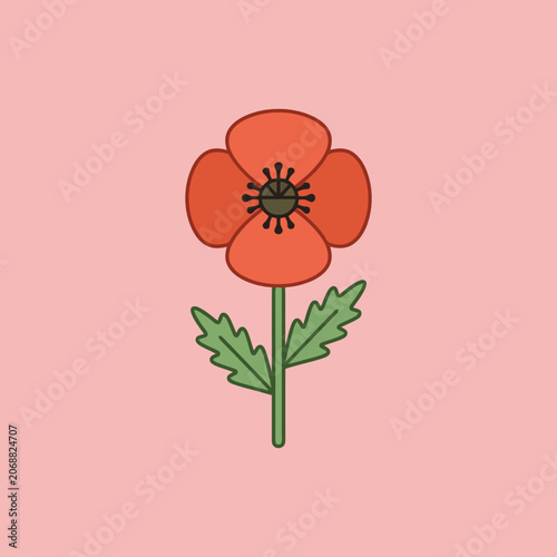 A simple red poppy flower illustration on pink