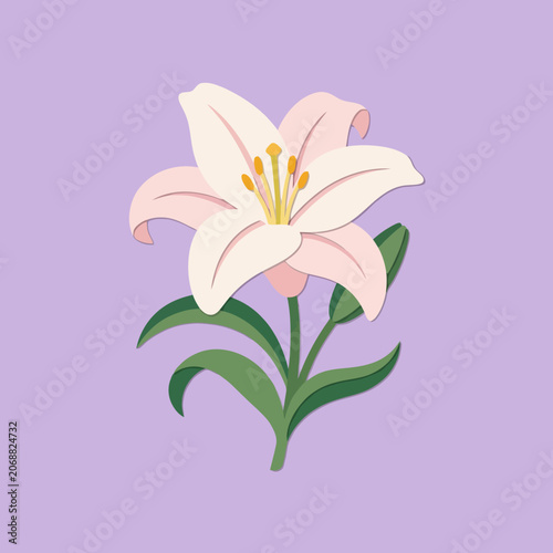 A soft pink lily flower blooms on a purple background