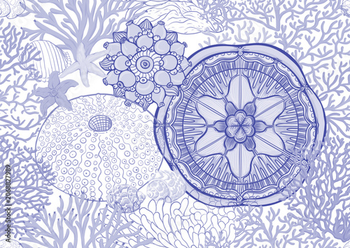 Colorful seamless marine pattern with corals, seahorses, fish, turtles, shells and sea plants, hand drawn vector illustration for wallpaper, textile, packaging and decorative print.