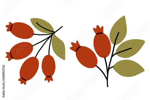 Foto Simple flat vector set of red briar branches