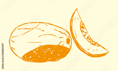 Hand drawn illustration with a whole melon and a sweet cut slice with seeds on a light background. Orange line art doodle, perfect for organic juice packaging or summer food menu design