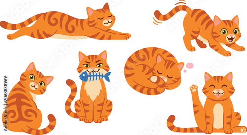 Obraz na plátně Cute Orange Tabby Cat Activity Collection with Sleeping, Playing, Eating, and Re