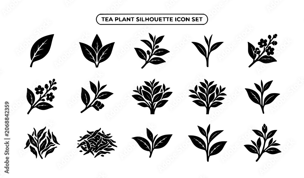 Fototapeta premium Tea Plant Silhouette Vector Icon Set