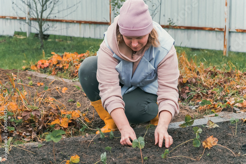 Canvastavla Seasonal garden maintenance in peaceful setting