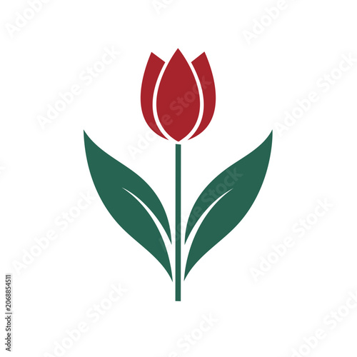 Red tulip flower with green leaves vector illustration