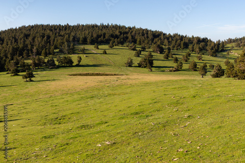 A green, treeless valley with a pond, forest in the background, and blue sky.