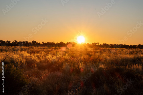 Фотография Sunset in grasslands near Uluru in Australia