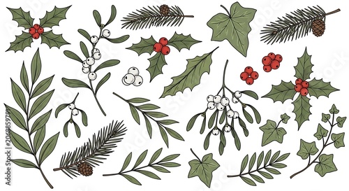 Collection of festive christmas plant illustrations with holly and pine