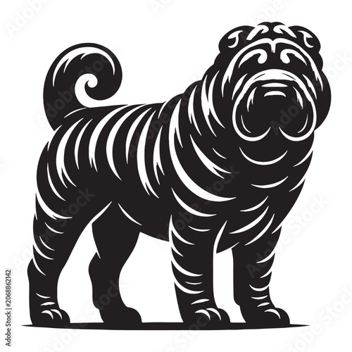 Photos Shar Pei, Cute, Puppy, Dog, Wrinkly, Adorable, Loyal, Guard, Protective, Smart, Calm, Friendly, Family, Pet, Companion, Unique, Rare, Strong, Brave, Funny, Beautiful, Training, Playful, Happy