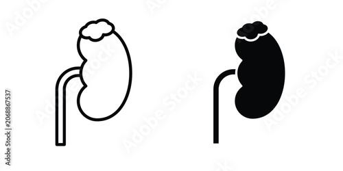 Fotografía Adrenal gland icon line and glyph bundle