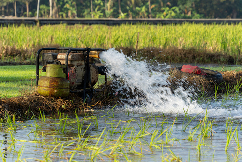 Agricultural water pump generator modified with an LPG gas cylinder spraying clean water to irrigate a green rice paddy field under bright natural morning sunlight, rural farming irrigation background