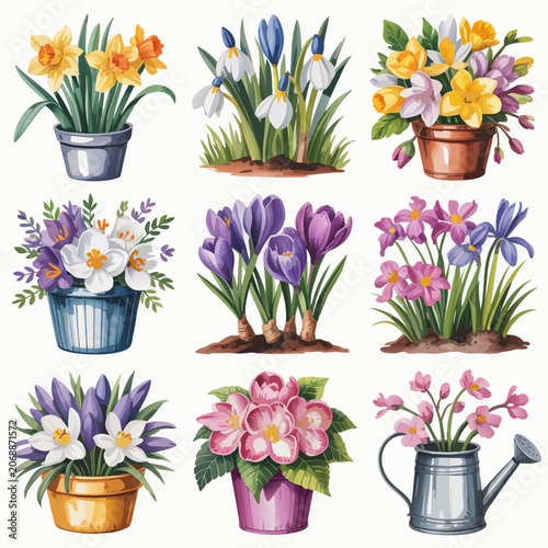 Set of colorful spring flowers in pots and garden containers
