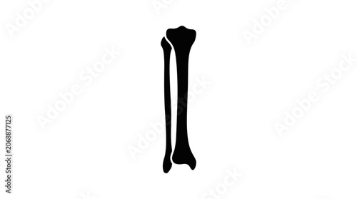 Cuadro en lienzo Human Tibia and Fibula Bones Silhouette Icon, Medical Anatomy Vector