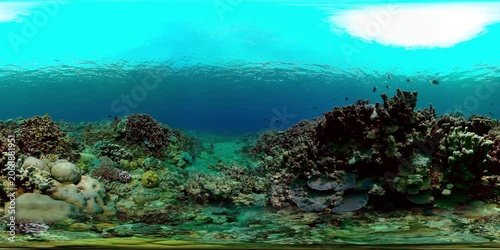 Colourful tropical coral reef. Scene reef. Marine life sea world. Virtual Reality 360.