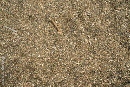 An abstract texture of a compact damp granular soil substrate, featuring minor surface irregularities and a monochromatic beige profile