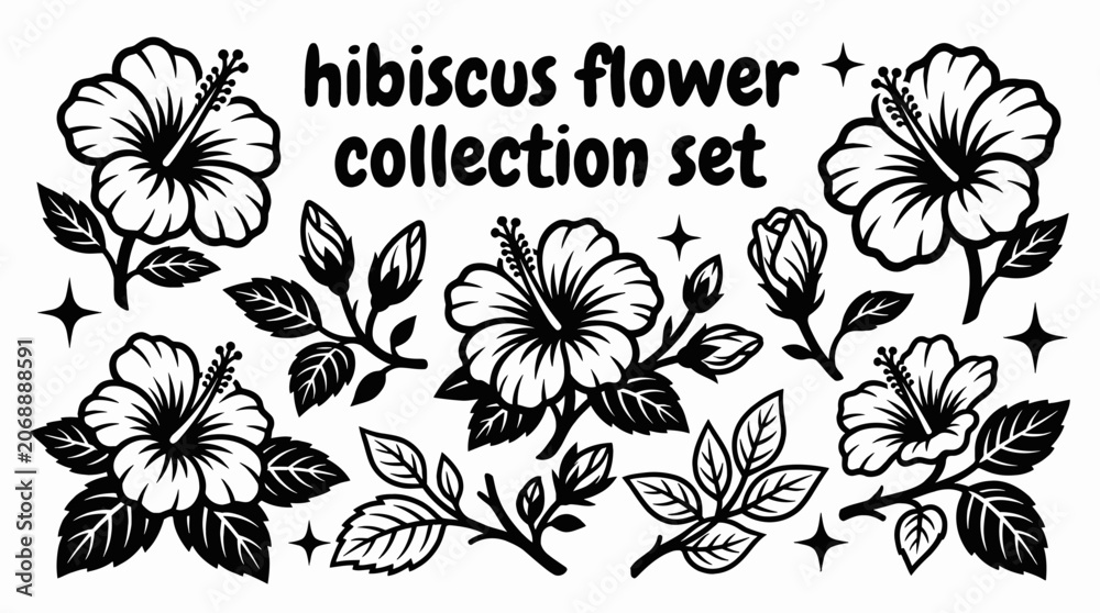 Obraz premium hibiscus flower collection set with tropical hibiscus blossoms buds leaves vector illustration black and branches arranged as exotic botanical design elements for commercial