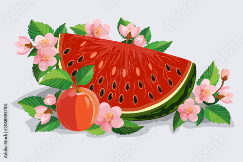 Obraz na plátně Illustration with a slice of watermelon and a peach