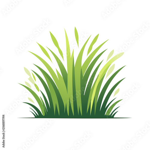 Green grass vector illustration