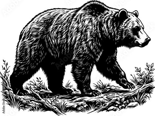 Canvas Print Bear silhouette vector illustration