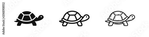Photography Turtle Animal Icon Set in Solid, Outline, and Sketch Styles