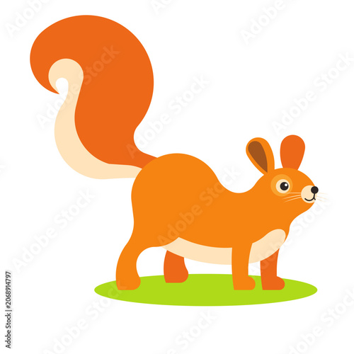 Cute cartoon squirrel illustration on a green patch