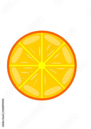 Fresh orange slice vector illustration