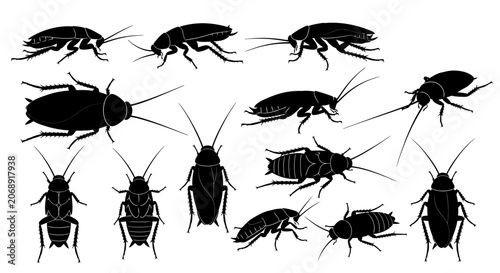 Photos Cockroach silhouettes, black insect icons, bug illustrations, pest control symbo