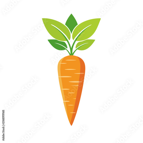 Flat illustration of a carrot with green leaves