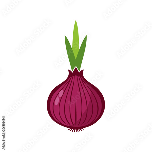 Red onion with green leaves vector illustration