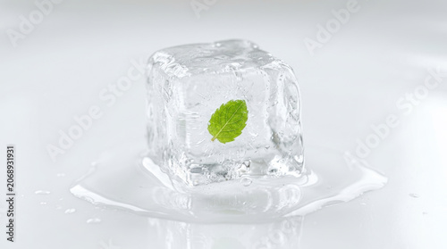 Ice cube leaf melting water green frozen clear closeup fresh ice cube with leaf melting on white surface with wet reflection