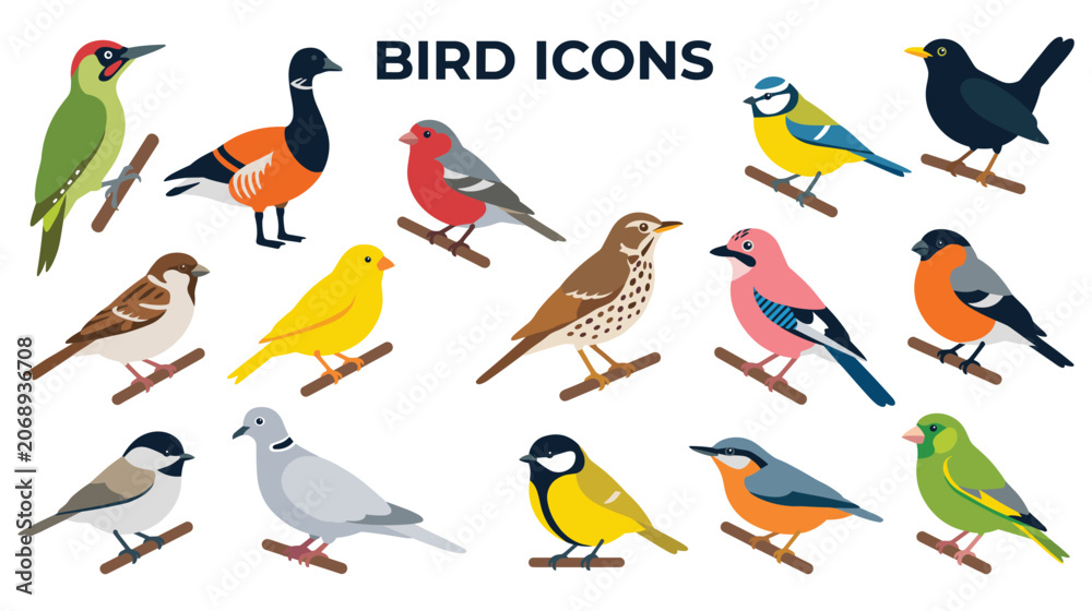 Fototapeta premium Diverse collection of wild birds perched on branches.