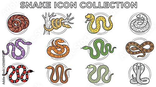 Photos Snake icon collection colorful reptile species outline.