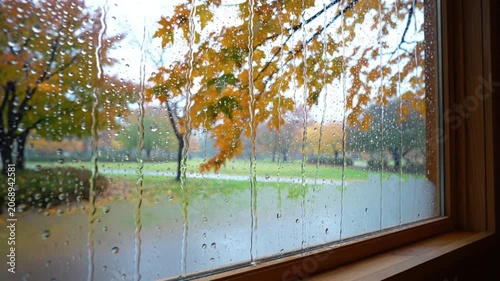 Raindrops trickling down window glass with autumn trees outside