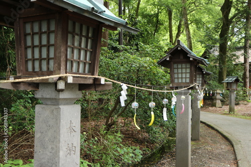 境内に飾られる風鈴