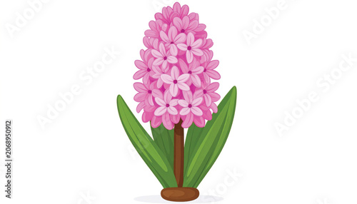 Pink Hyacinth Flower with Green Leaves.