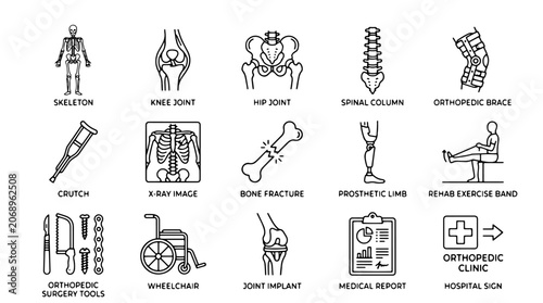 Tableau sur toile Medical, orthopedic icons, skeletal system, bone health, 15 vector graphics