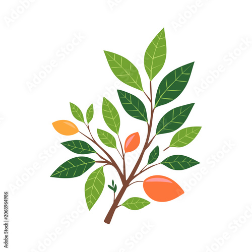 Tropical mango tree branch with fruits and leaves