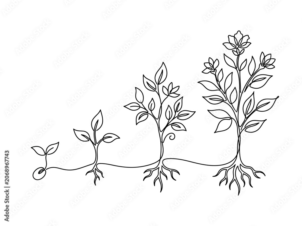 Fototapeta premium Plant Growth Stages: Seedling to Blooming Tree in Continuous Line Art