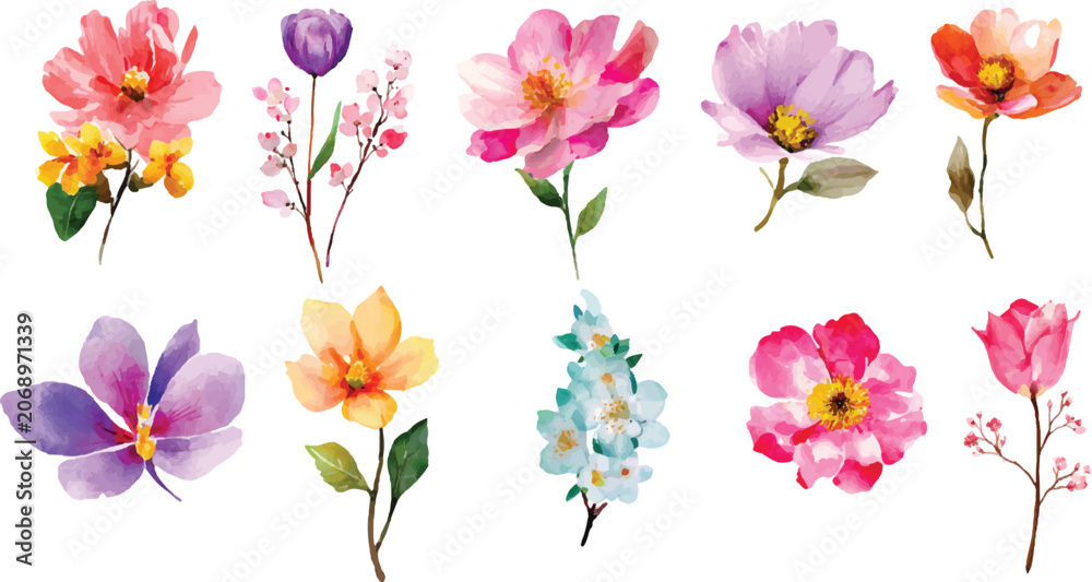 Fototapeta premium set of spring flowers