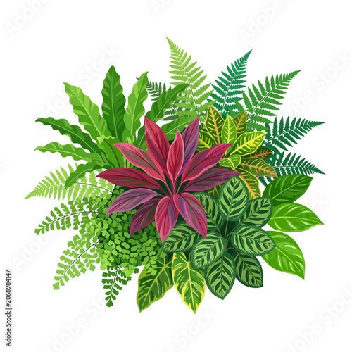 A vibrant arrangement of various tropical house plants together