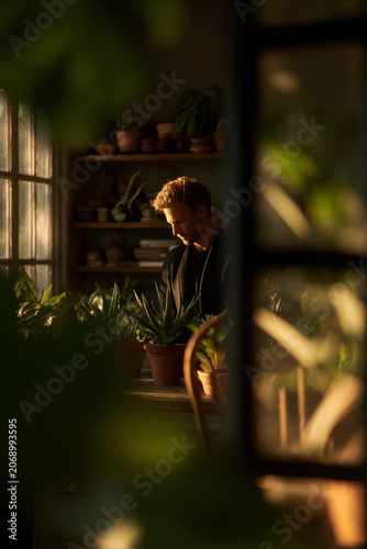 Man tending to potted houseplants in a sunny greenhouse workshop during golden hour