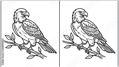 Foto Black and white line art of majestic eagle perched on branch for coloring