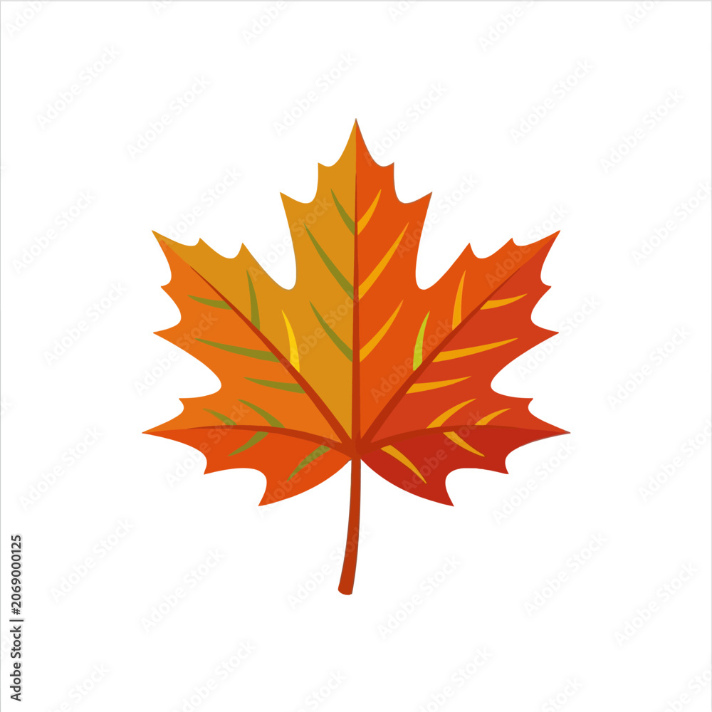 Obraz premium A vibrant autumn maple leaf rests against a white background
