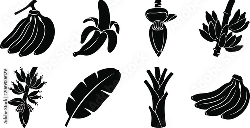 Banana Plant Elements Silhouette Set Featuring Fruit Bunches Leaves and Banana Blossom