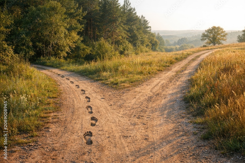 Fototapeta premium A dirt road with visible footprints