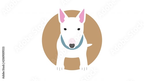 犬のブルテリアが下から現れるイラスト動画