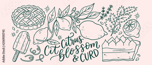 Fotografie Citrus fruit blossom curd, fresh lemon fruit pattern, organic fruit blossom icon
