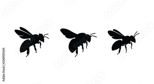Foto Three bee silhouettes in black against a white background showcasing insect form