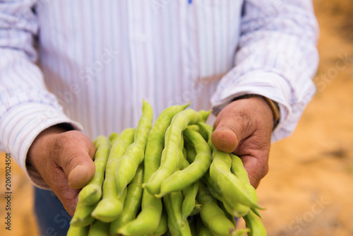 Konstfotografi Authentic close up of Middle Eastern male farmer hands in traditional striped sl